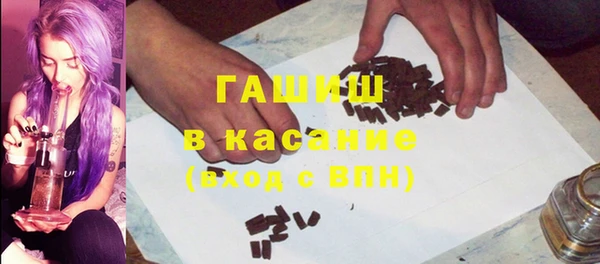 индика Бородино