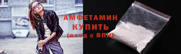 индика Бородино