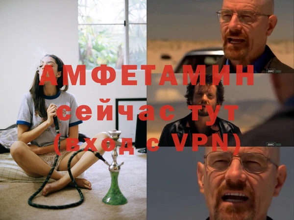 индика Бородино