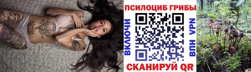 кракен ссылки  где купить   Сретенск  Галлюциногенные грибы мухоморы 